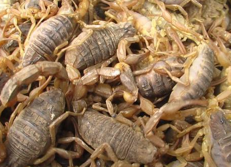 合肥小區開荒保潔要注意哪些事項呢？